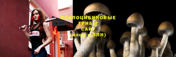 MDMA Premium VHQ Каменск-Шахтинский