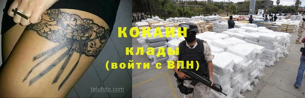 крисы Каменногорск