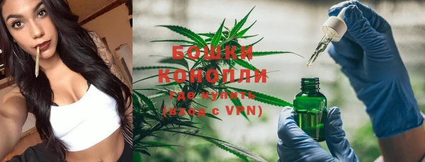 крисы Каменногорск