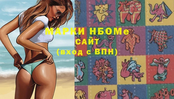 крисы Каменногорск